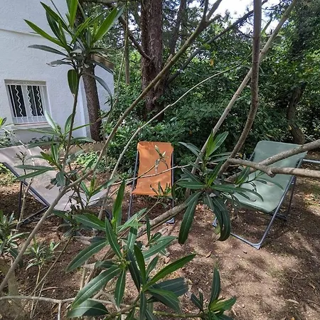 Maison Spacieuse Et Lumineuse 4 Personnes *